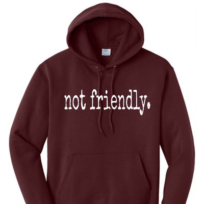 Not Friendly Hoodie