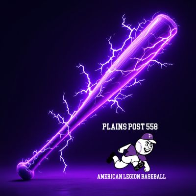Plains Baseball