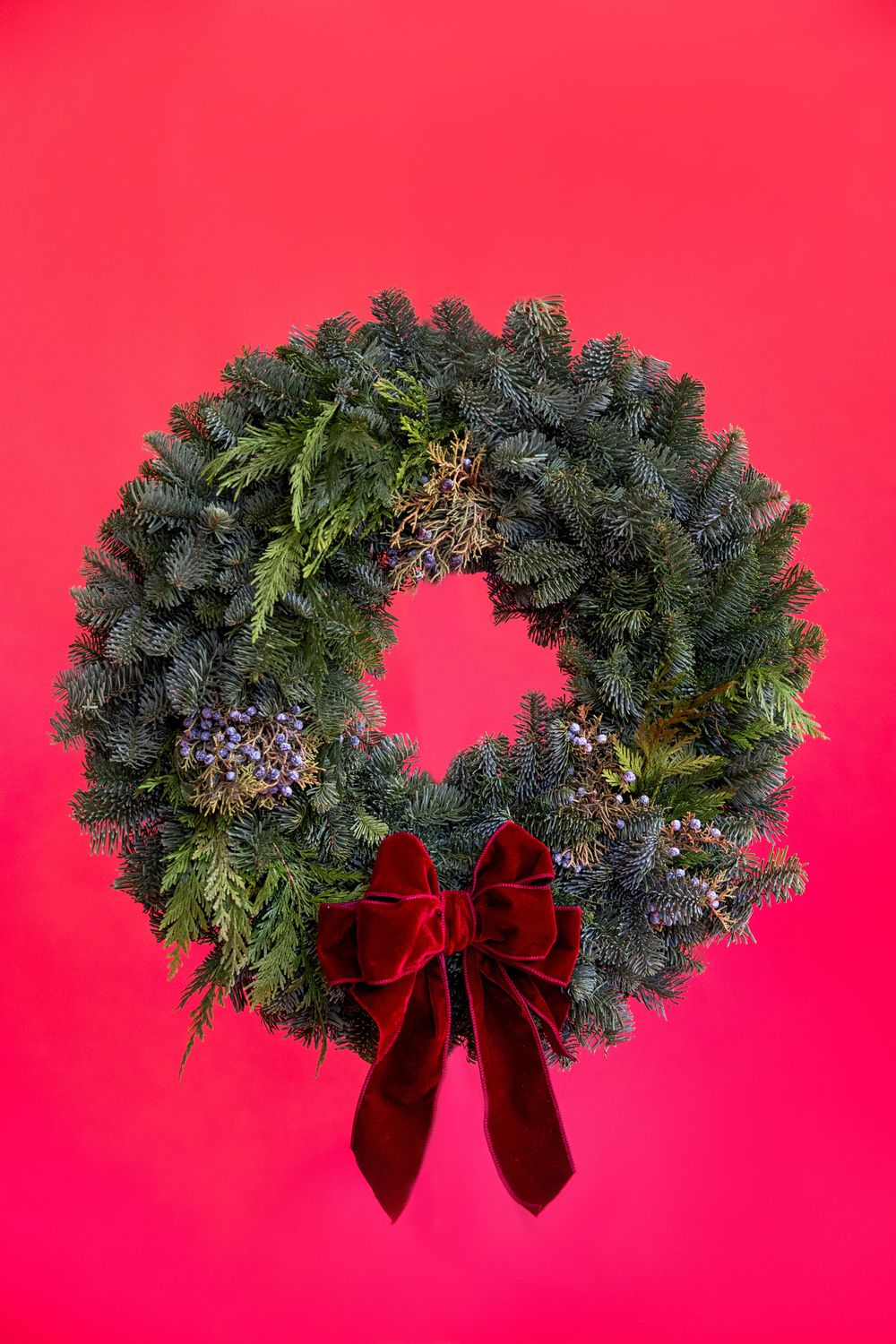 Red Evergreen: 24"