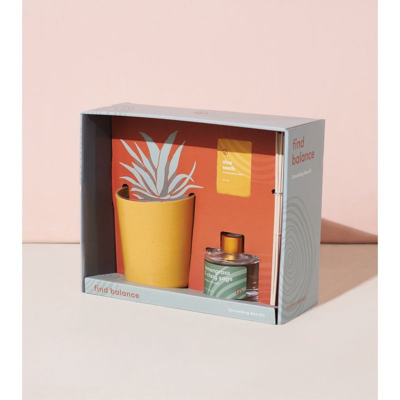 Find Balance - Grounding Aloe Kit