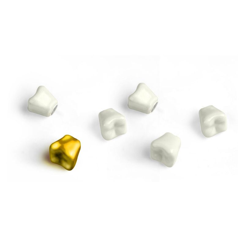 WISDOM TOOTH MAGNETS S/6