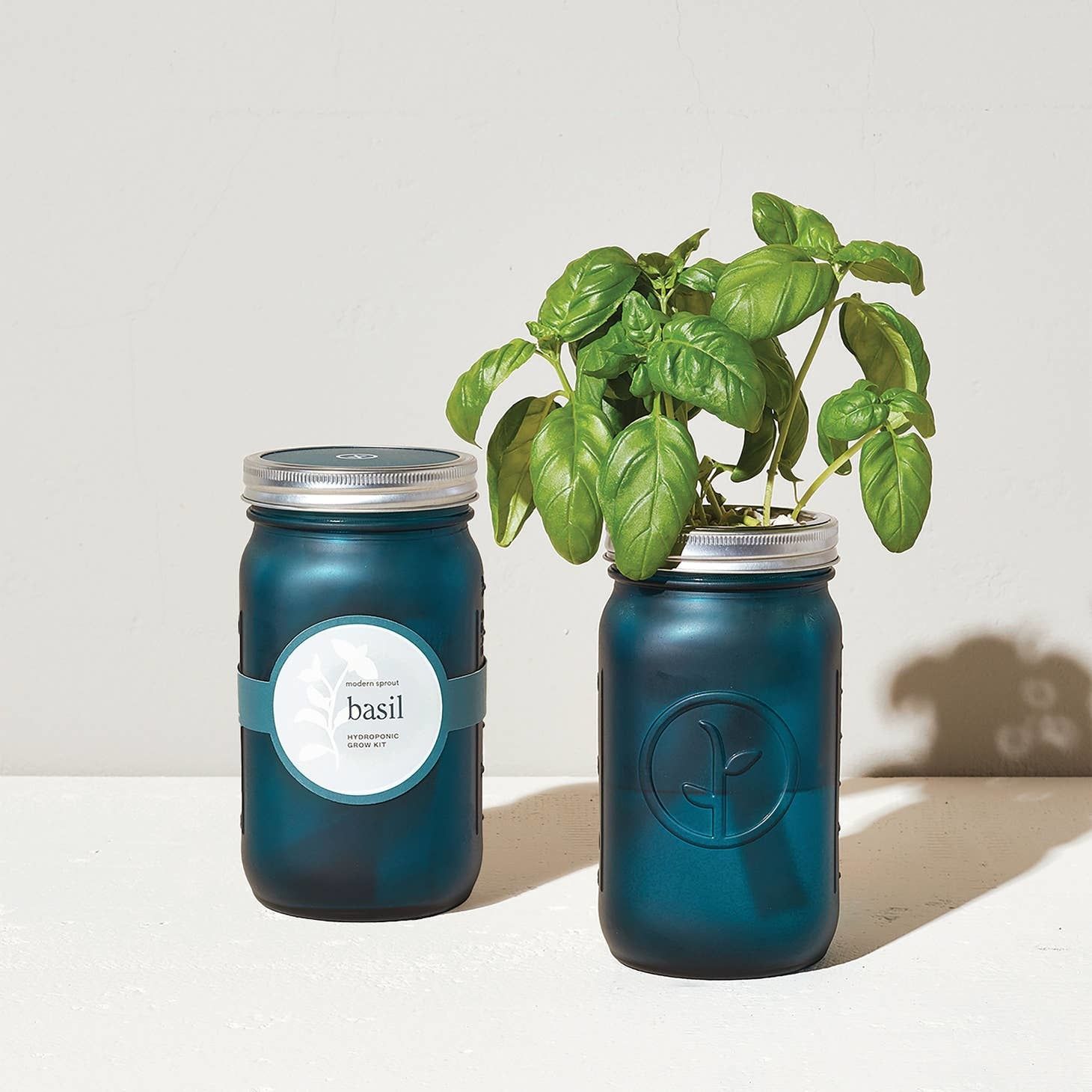 Garden Jar - Basil
