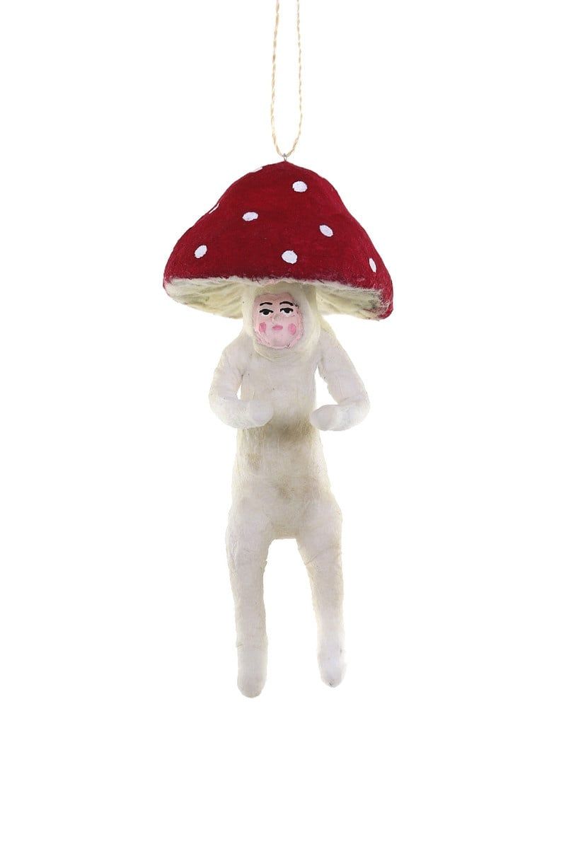 MUSHROOM FELLOW