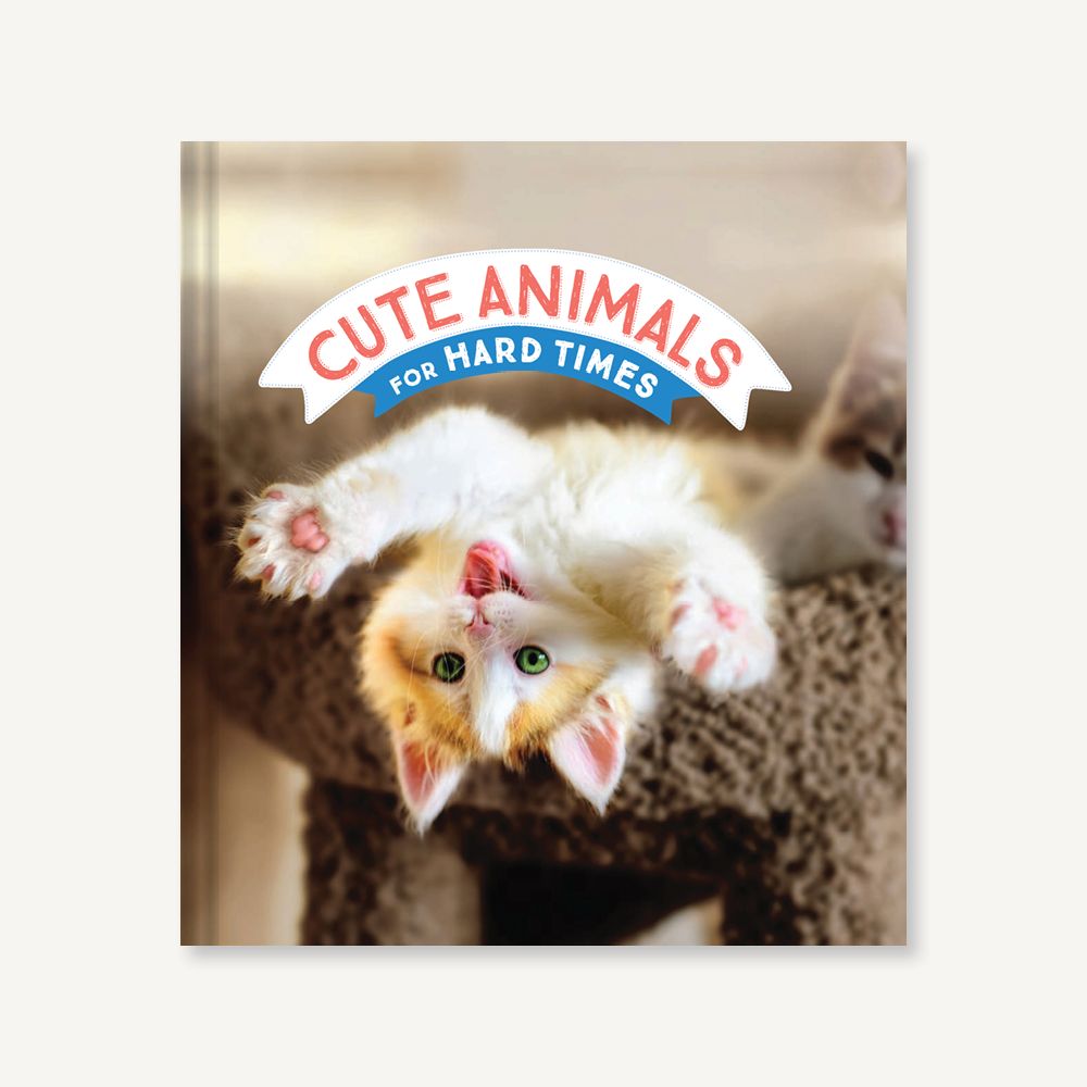 Cute Animals for Hard Times