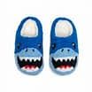 Indoor / Outdoor Slippers - Shark