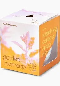 Garden Vibes Candle/Planter Golden Moments