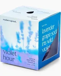 Garden Vibes Candle/Planter Violet Hour