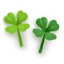 LUCKY SPROUT - CLOVER BOOKMARKS