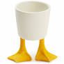 Small Duck Feet Planter