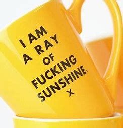 I am a ray of fucking sunshine... Ceramic Mug