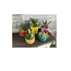 Wide variety of live and artificial potted plants in fun and colorful pots.