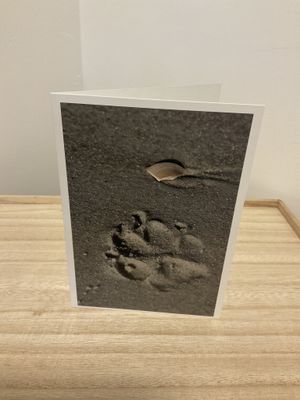 Card - Sympathy Dog Paw Prints