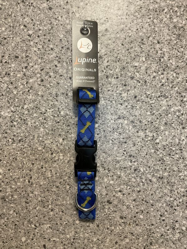Adjustable Collar 3/4 in 9-14&quot; Dapper Dog