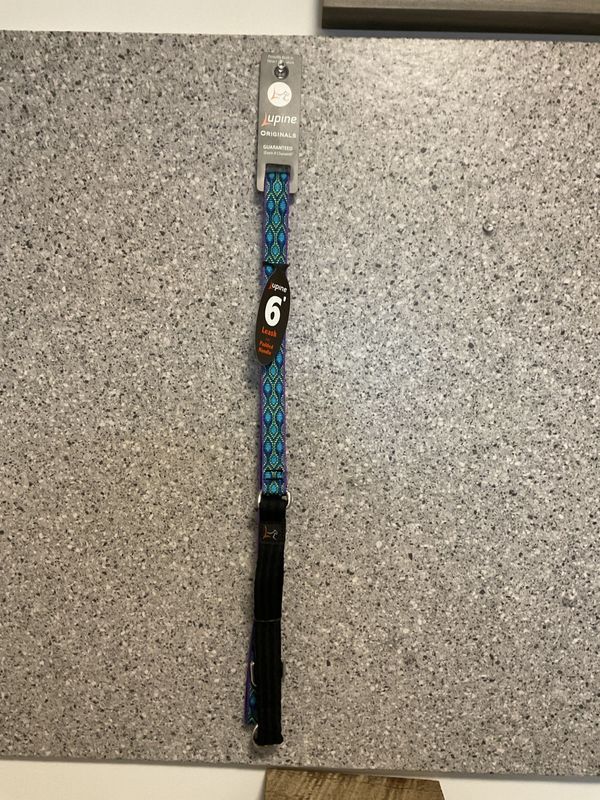 Leash 3/4 in 6 ft Rain Song