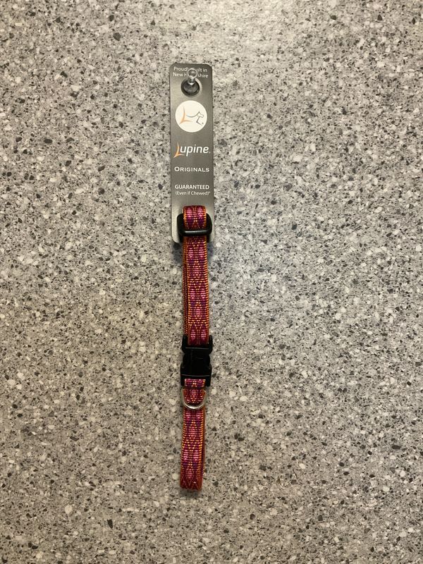 Adjustable Collar 1/2 in 10-16&quot; Alpen Glow