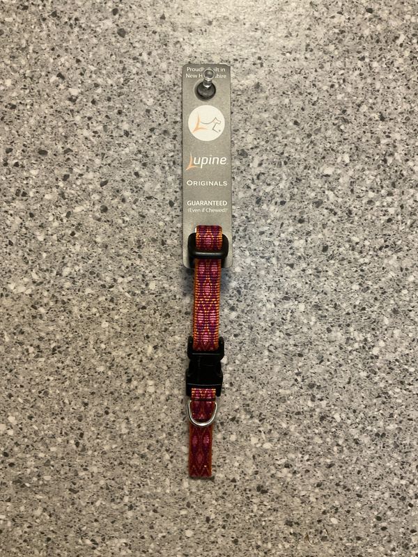 Adjustable Collar 1/2 in 8-12&quot;