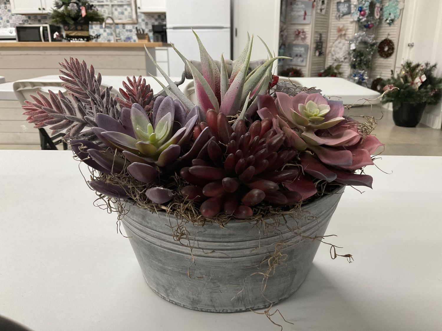 Wall Hanging Metal Bucket Spring Succulent