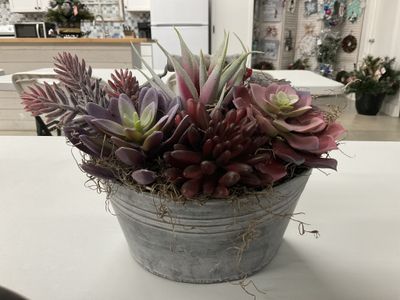 Wall Hanging Metal Bucket Spring Succulent