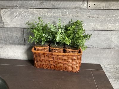 Plants Wicker 3 Plant Basket