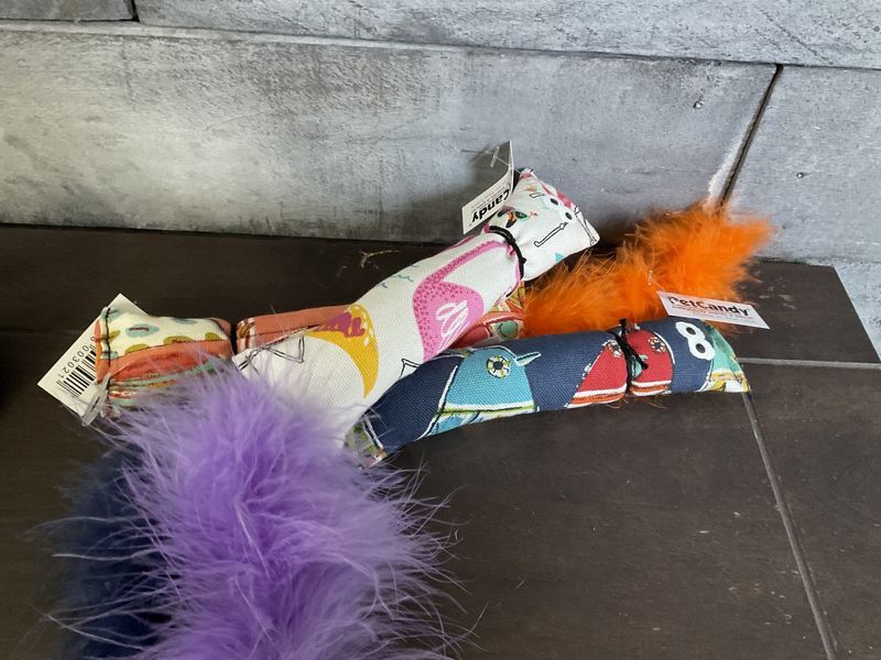 Pet Candy Squirrels