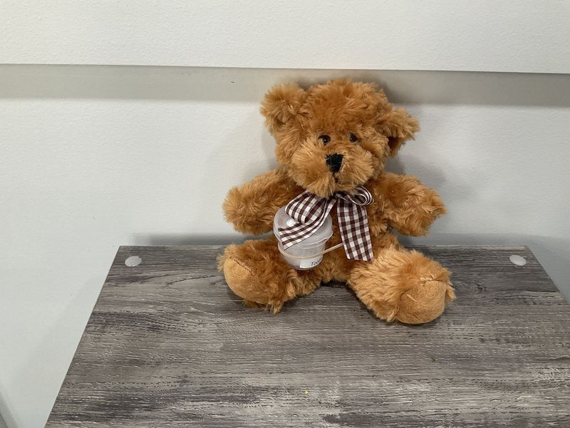 Tooth Fairy Container-Tan Teddy w/Brown Gingham Tie