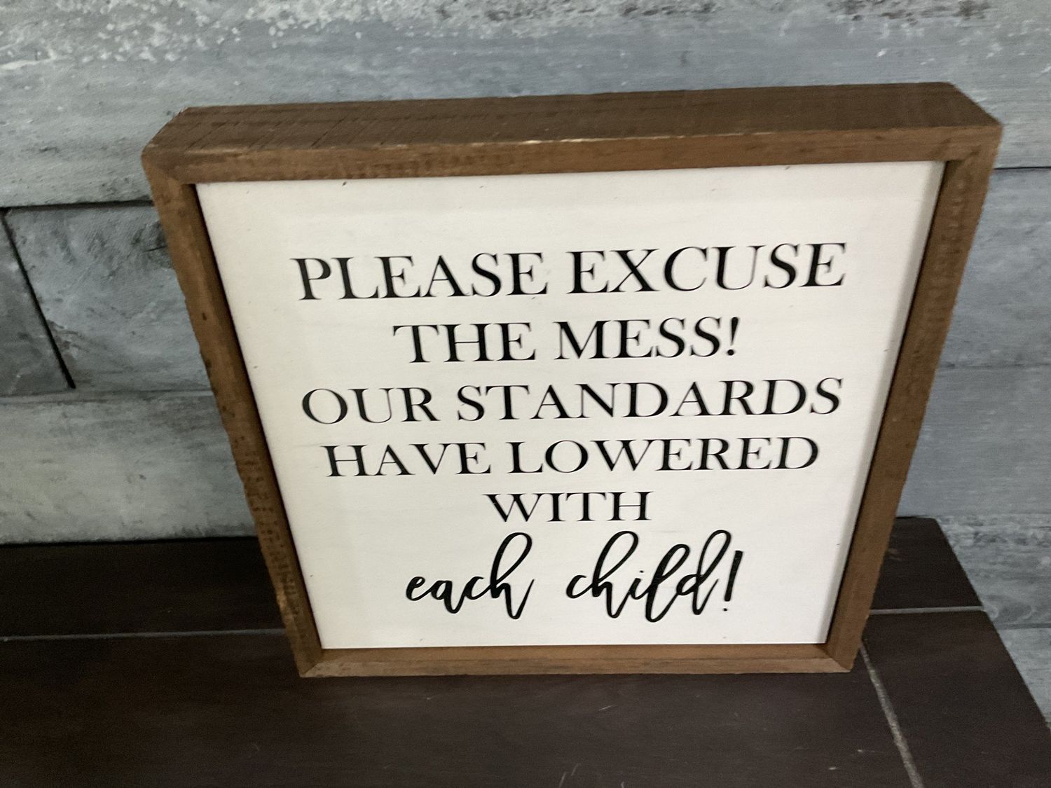 Sign 10 x 10 Please Excuse The Mess