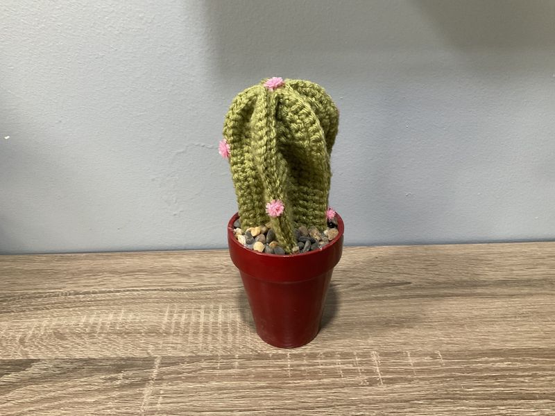 Cactus w Butterfly