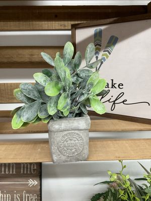 Artifical Plants in Planter