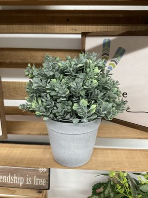 Cement Pot w Greenery 3 Assorted