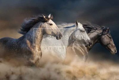 FFFPA A1 Decoupage Fiber - Wild Hearts run free