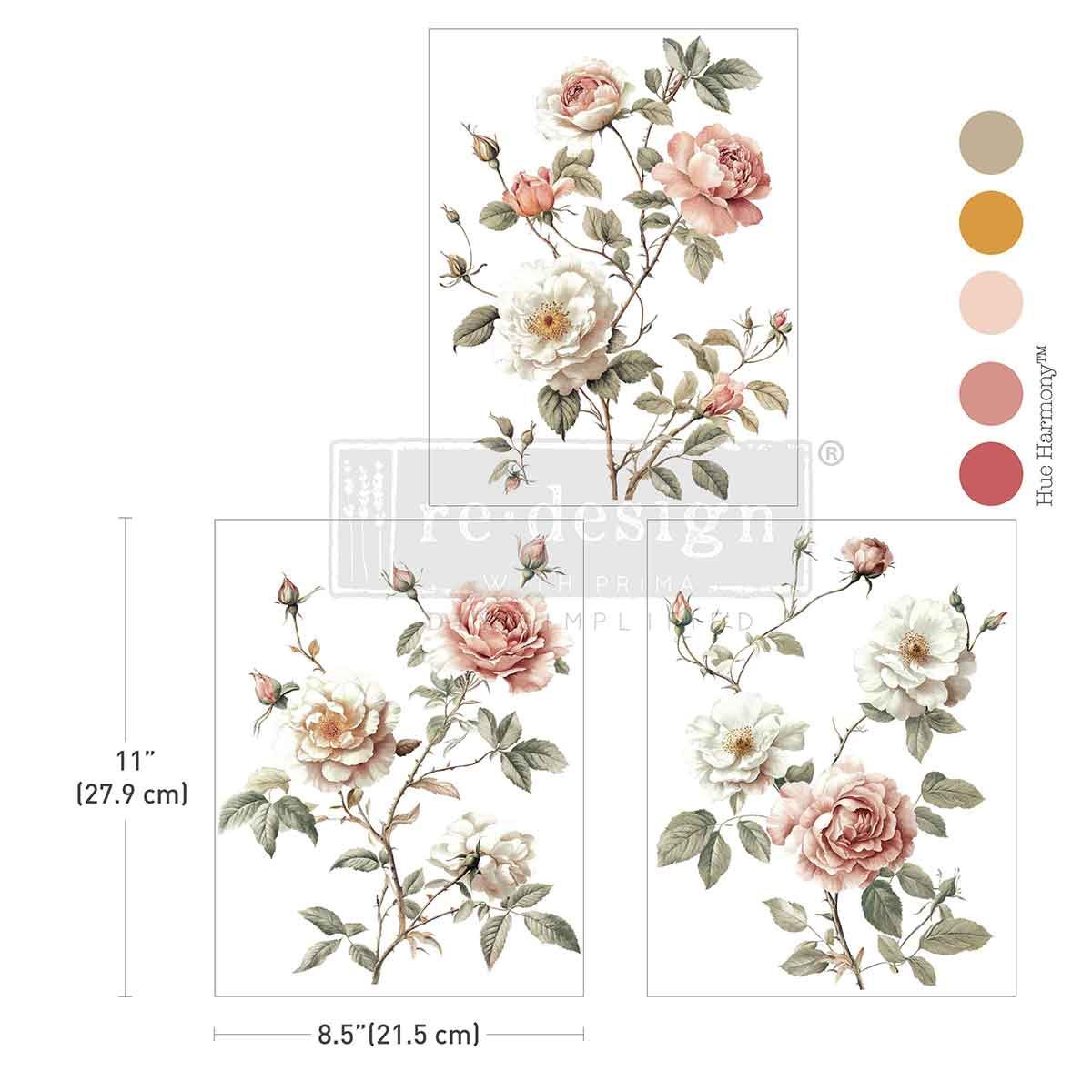 Creamy Blush Blooms Middy Transfer