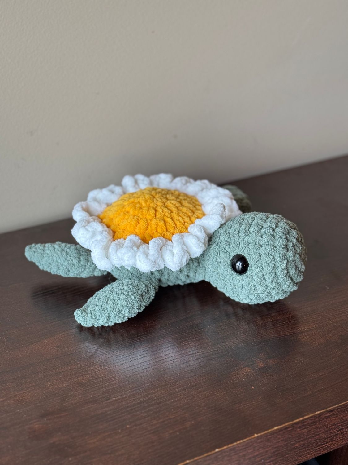 Turtle - Daisy