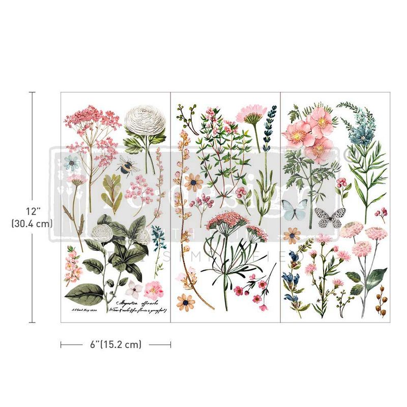 Botanical Paradise Small Transfer