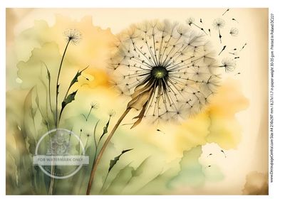 FFFPA A4 Dandelions Rice Paper