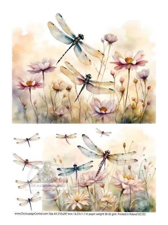 A4 Dragonfly Fields Duo Rice Paper