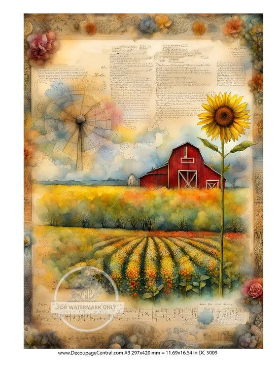 A3 American Farm Rice Paper