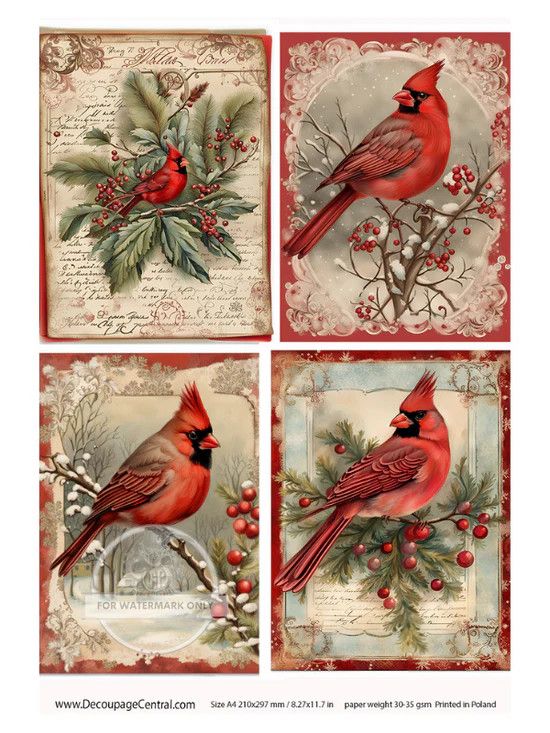 A4 Christmas Cardinal Collection 4 images on page  Rice Paper