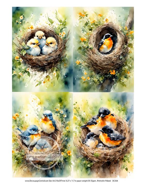 A4 Nest Birds Multi Rice Paper