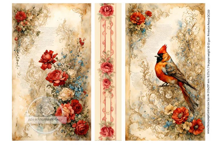A4 A Cardinals Story Rice Paper