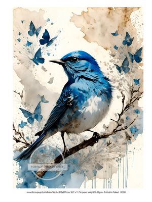 FFFPA A4 Bluebird with Butterflies Rice Paper
