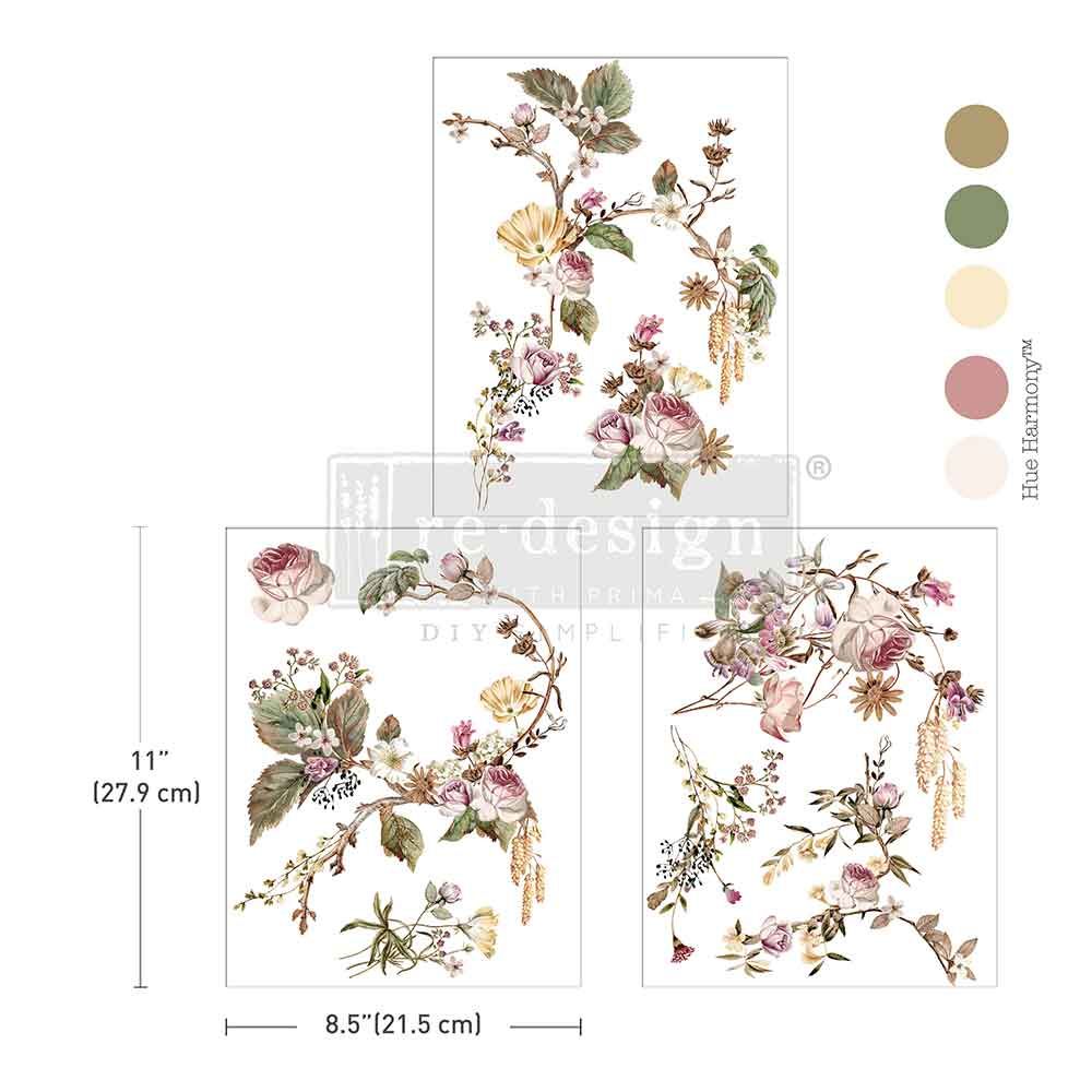 Rosette Royale Middy Transfer