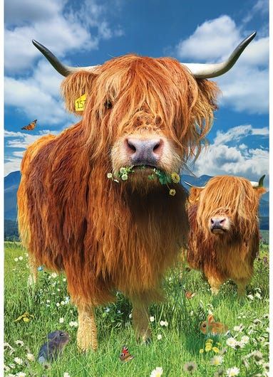A4 FFF Highland Cow Decoupage Rice paper
