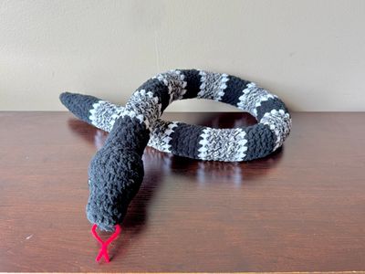 SC Snake