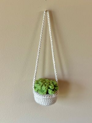 SC Mirror Hanger