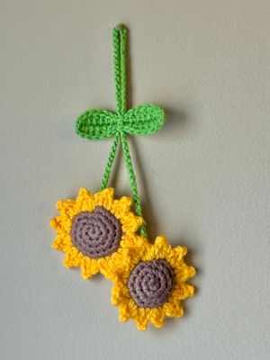 SC Mirror Hanger
