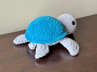 SC Turtle