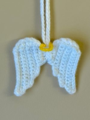 SC Mirror Hanger