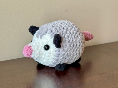 SC Opossum