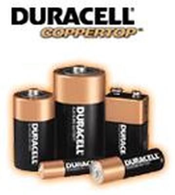 CopperTop Alkaline AA Batteries