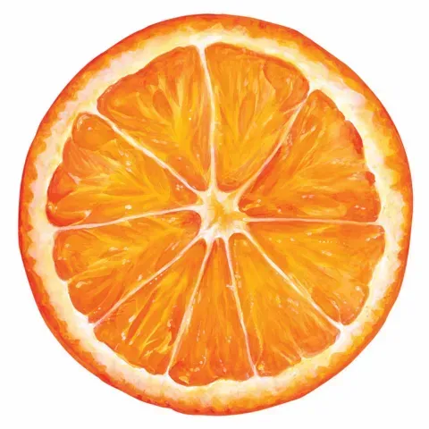 die cut orange slice placemat